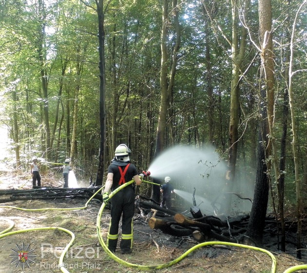 POL-PPWP: Brand im Wald - Zeugen gesucht!