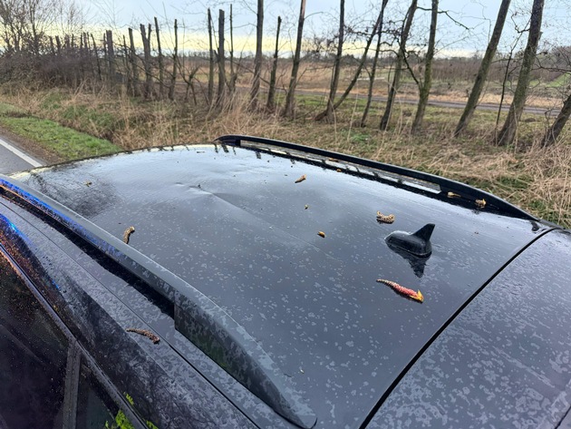 POL-STD: Jork-Hinterbrack: Baum auf K39 gestürzt - zwei Pkw beschädigt