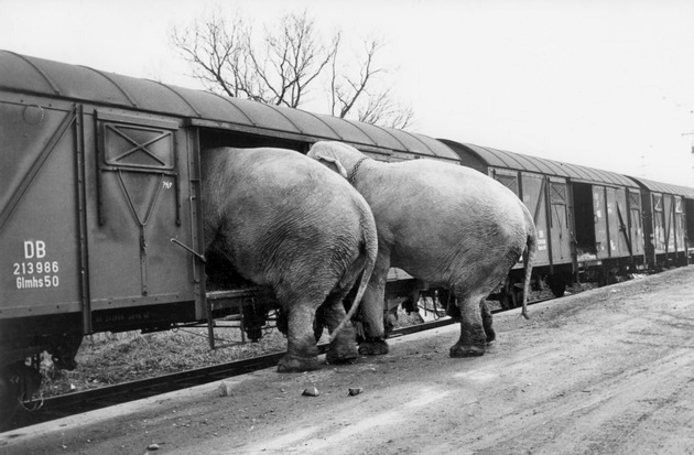 picture alliance: Retrospektive des ehemaligen dpa-Fotografen Manfred Rehm