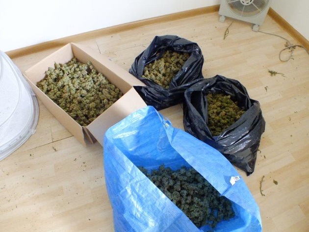 POL-SE: Norderstedt   /
Polizei entdeckt Marihuana-Plantage im Keller eines Reihenhauses