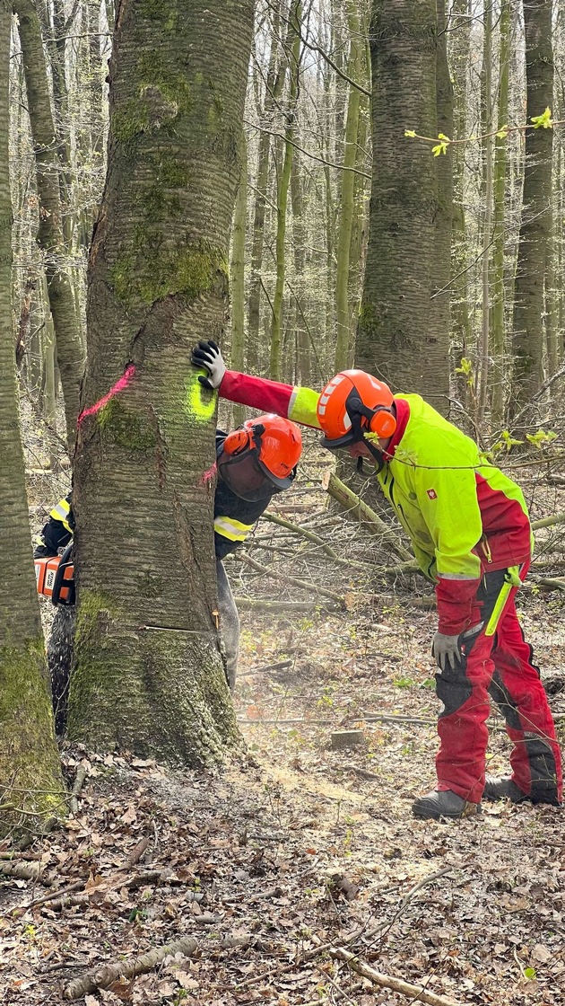 FW-WRN: Erfolgreicher Motorsägenlehrgang der Freiwilligen Feuerwehr Werne