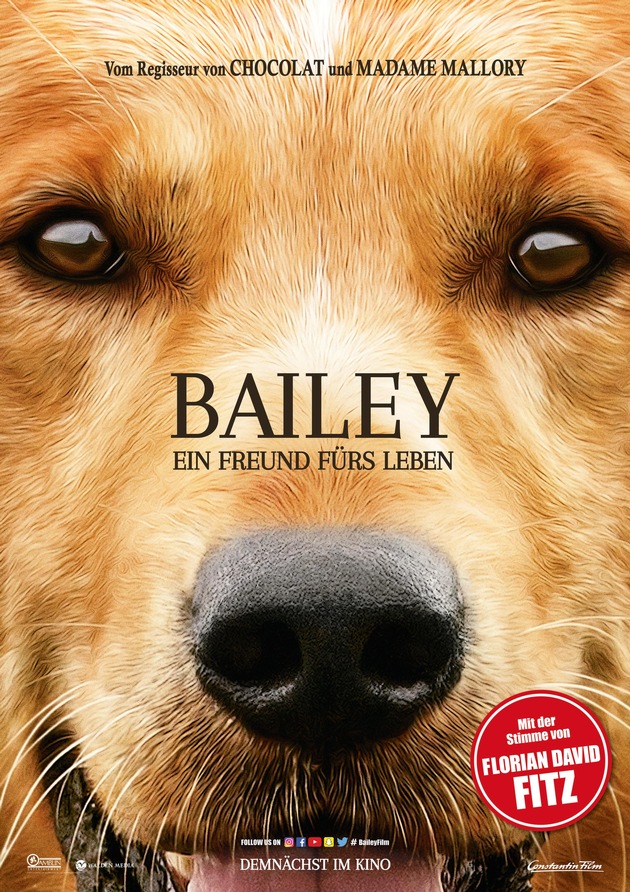 BAILEY - EIN FREUND FÜRS LEBEN / Ab 23. Februar 2017 im Kino