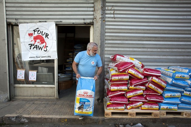 QUATRE PATTES distribue dix tonnes de nourriture aux animaux affamés au Liban – malgré le Covid-19