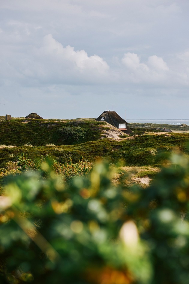 Ein Ansprechpartner für alle