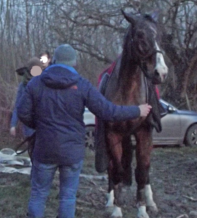 FW-DO: 08.02.2018 - Tierrettung in Grevel
Pferd aus Graben befreit
