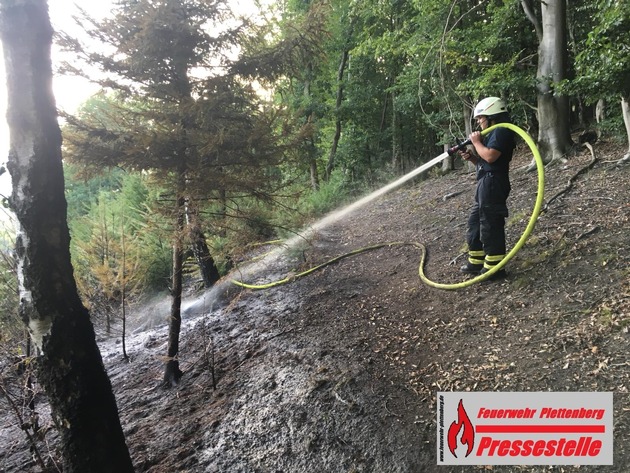 FW-PL: OT-Kahley. Waldbrand konnte schnell gelöscht werden