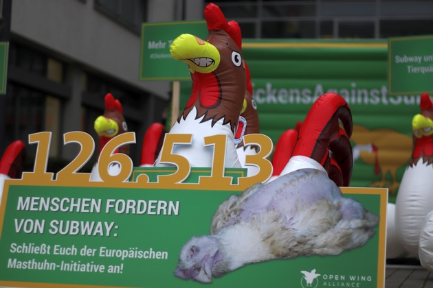 Tierschutz-Kampagne gegen Subway: Hühner-Protest erreicht Köln