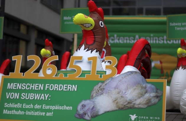 Albert Schweitzer Stiftung für unsere Mitwelt: Tierschutz-Kampagne gegen Subway: Hühner-Protest erreicht Köln