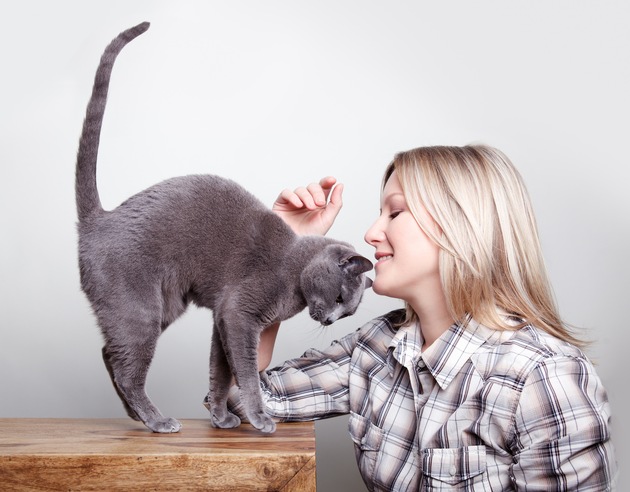 Am 17.Mai ist Welthypertonietag / Vorsicht vor dem &quot;stillen Killer&quot; / Hoher Blutdruck auch für Katzen gefährlich