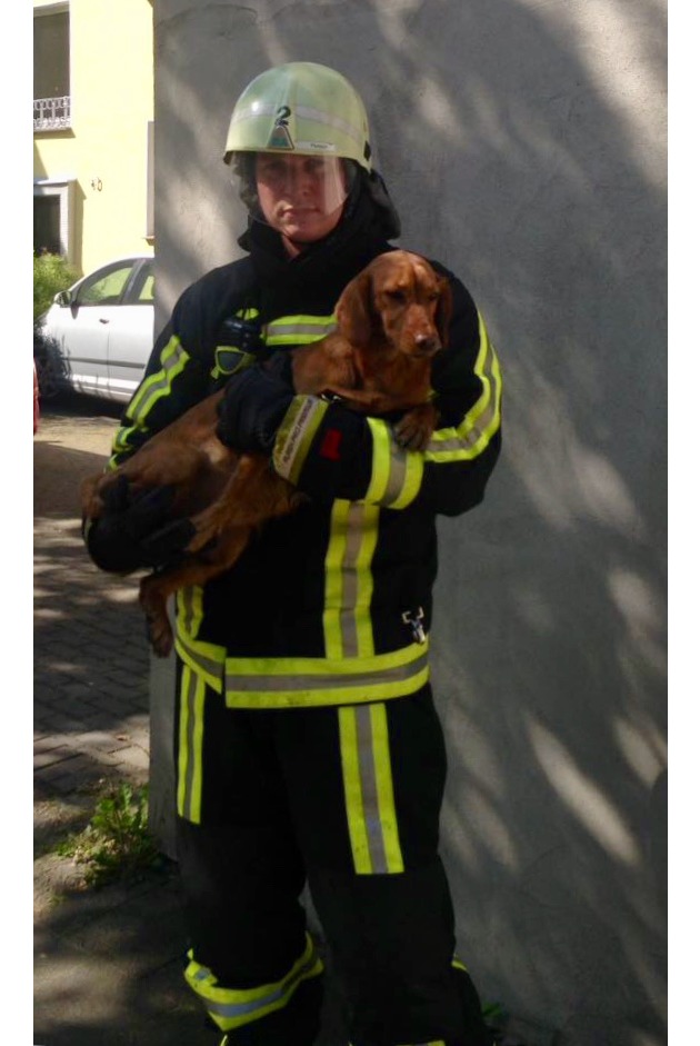 FW-BO: Wohnungsbrand in Riemke - Vier Personen werden leicht verletzt, Feuerwehr rettet Hund aus den Flammen