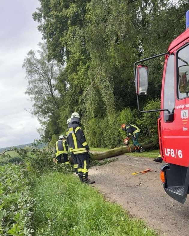 FW Ense: Baum auf Fahrbahn