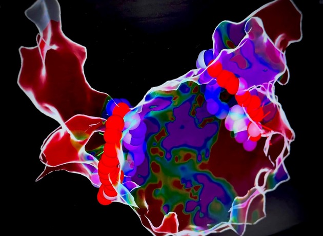 Premiere im Herzkatheterlabor: Innovatives Behandlungsverfahren bei Vorhofflimmern am RHÖN-KLINIKUM Campus Bad Neustadt