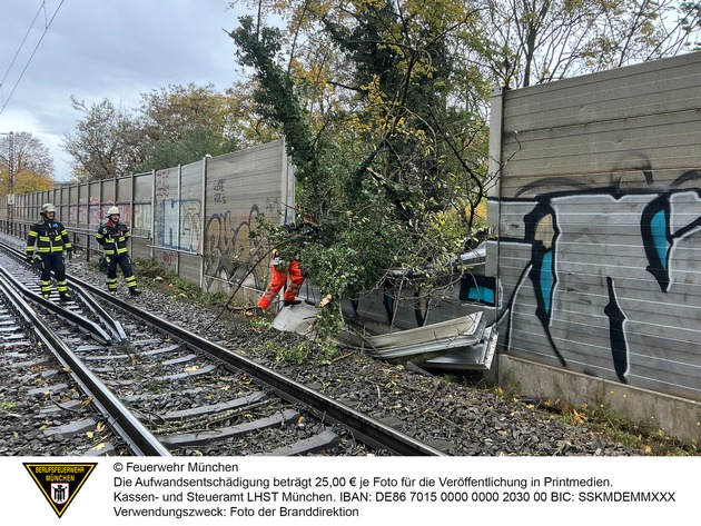 FW-M: Regionalzug kollidiert mit Baum (Giesing)