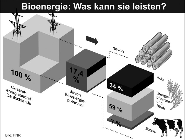 Bioenergie: ungeahnte Perspektiven! / Potenziale deutlich nach oben korrigiert