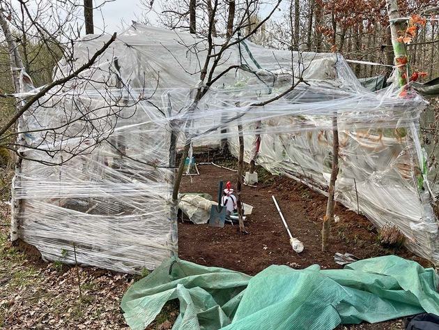 POL-REK: 260326-1: Cannabisplantage in Waldgebiet gefunden - Zeugensuche