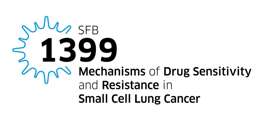 Lungenkrebsforschung: Stoppen der Zellkommunikation kann Tumorwachstum verhindern