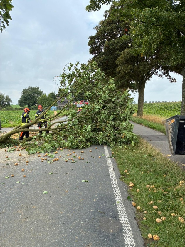 FW-KLE: Verkehrsunfall mit Traktorgespann - Baum stürzt auf Fahrbahn