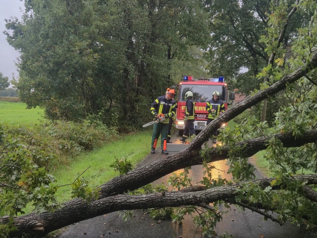 FW-AUR: Baum stürzt auf Telefonleitung und Fahrbahn