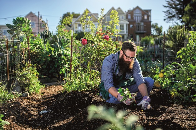 Grüne Woche 2018: &quot;Quelle der Vielfalt&quot; - Die Initiative &quot;Blumen - 1000 gute Gründe&quot; bringt die Blumenhalle 2.2 zum Blühen