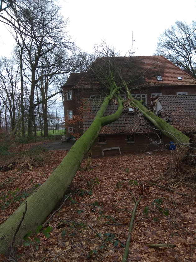 FW-KLE: Sturmtief &quot;Friederike&quot;: Erste Bilanz der Freiwilligen Feuerwehr Bedburg-Hau - Bahnstrecke Krefeld - Kleve gesperrt - Baum auf Mehrfamilienhaus