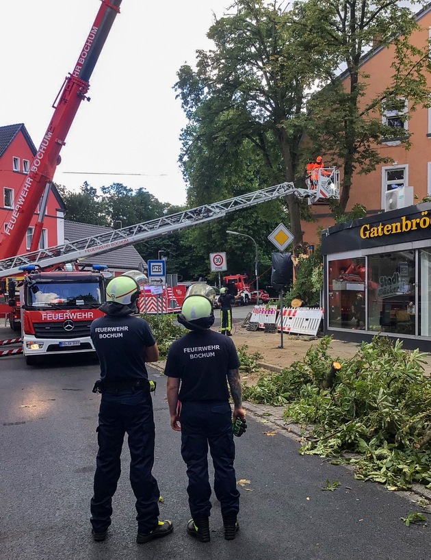 FW-BO: Feuerwehr beseitigt stark beschädigten Baum - Einsatz für den Feuerwehrkran