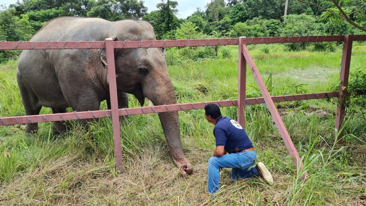 VIER PFOTEN zu Besuch beim einst «einsamsten Elefanten der Welt»
