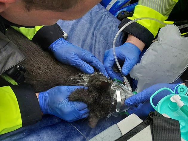 FW Hannover: Verletzte Katze nach Feuer auf einem Balkon