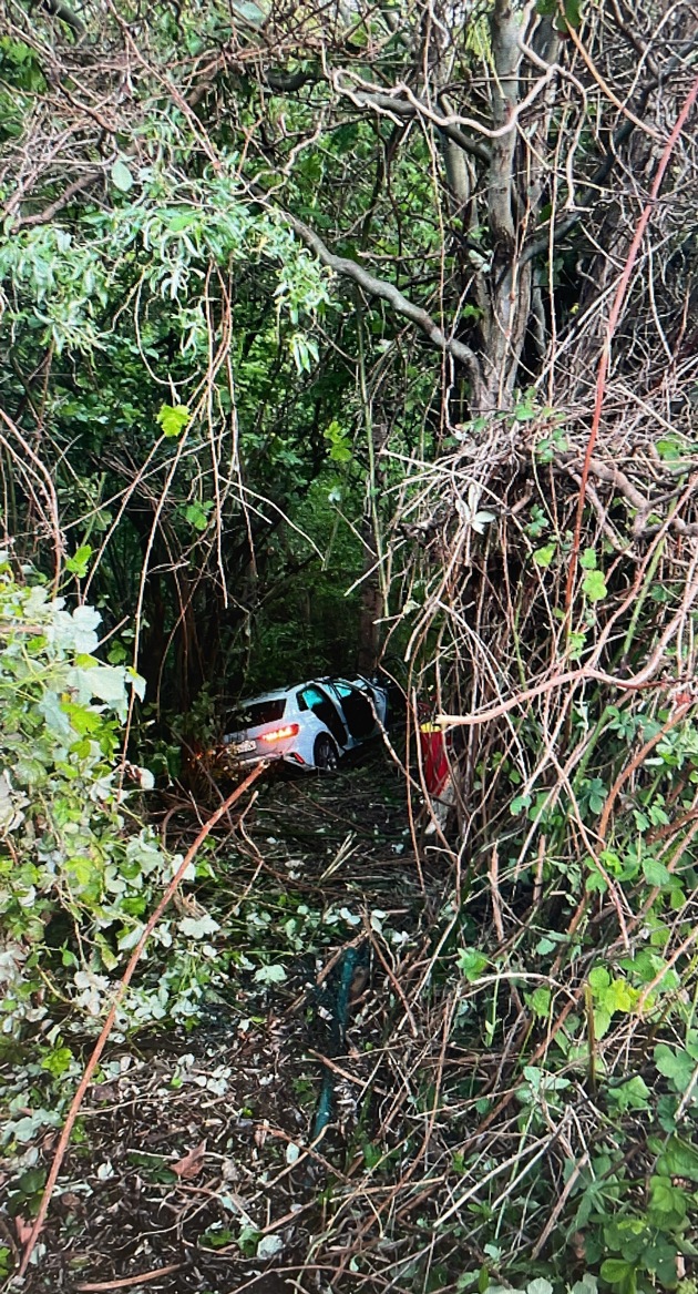 LPI-NDH: Pkw dank Baum vor dem Wasser gestoppt