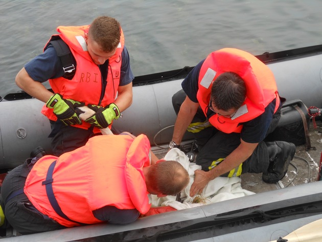 FW-DO: 12.06.16 - Tierrettung in Groppenbruch/Schwan wurde von Angelschnnur befreit