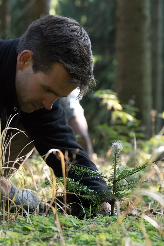 Gemeinsam im Einsatz für Schutzwald und Artenvielfalt: Das Bergwaldprojekt im Forstbetrieb Oberammergau