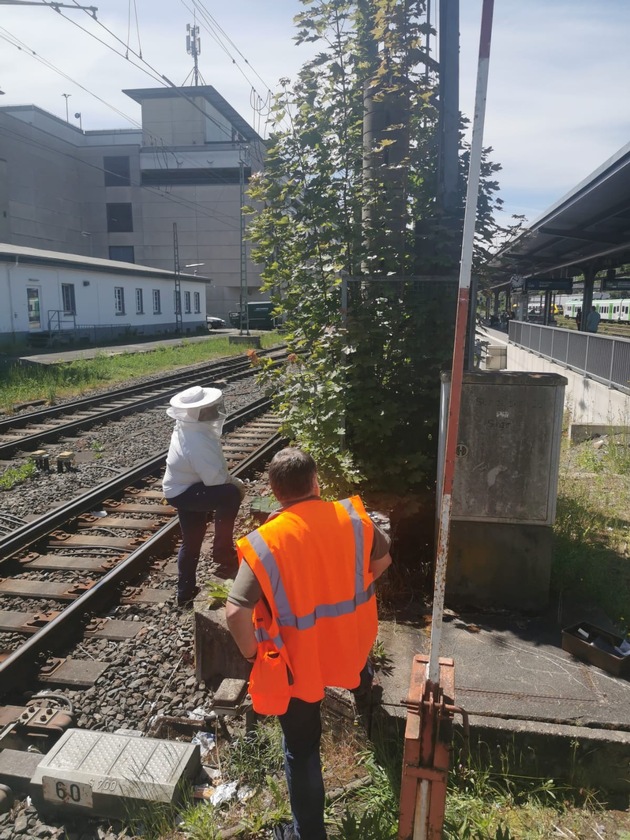 BPOL NRW: Verirrte Bienen lösen Polizeieinsatz am Bahnhof Siegen aus