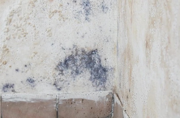 Zwischen Panikmache und Gefahr: Schimmel im Wohnraum /
Gesundheitsrisiken und die Beseitigung auf einen Blick Zwischen Panikmache und Gefahr: Schimmel im Wohnraum /
Gesundheitsrisiken und die Beseitigung auf einen Blick