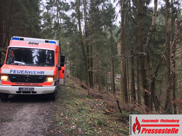 FW-PL: OT-Almecke. Forstarbeiter wird bei Fällarbeiten von Baum getroffen und schwer verletzt.