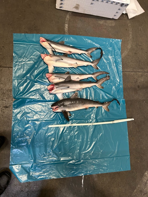 HZA-F: Zoll am Frankfurter Flughafen stellt zahlreiche Verst&ouml;&szlig;e gegen artenschutzrechtliche Bestimmungen fest- Weltweite Operation "Thunder" gegen illegalen Wildtier-Handel