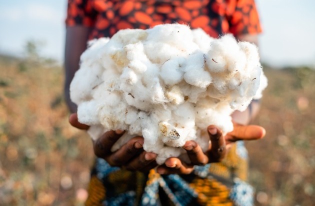 Carbon Credits: Aid by Trade Foundation, International Cotton Advisory Committee und bizpando starten Kooperation