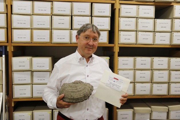 Neue Pilzart aus Afrika nach Kasseler Professor Ewald Langer benannt