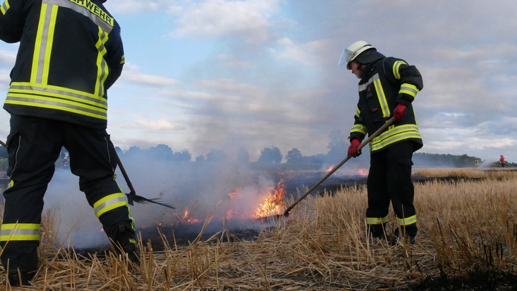 FW Celle: Städteübergreifende Übung in Hustedt - Feuerwehren aus Hustedt und Eversen üben Vegetationsbrandbekämpfung!