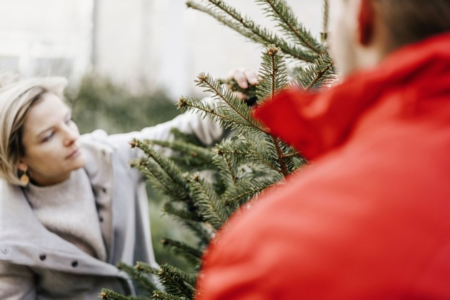 Weihnachtsbaumverkauf 2025 bei BAUHAUS