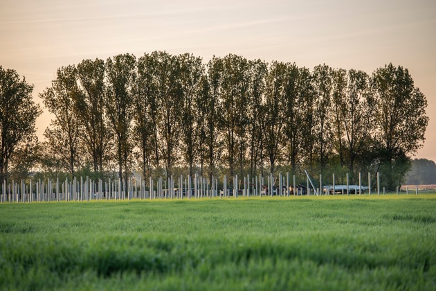 GP JOULE übernimmt technische Betriebsführung für den Solarpark Frankenförde