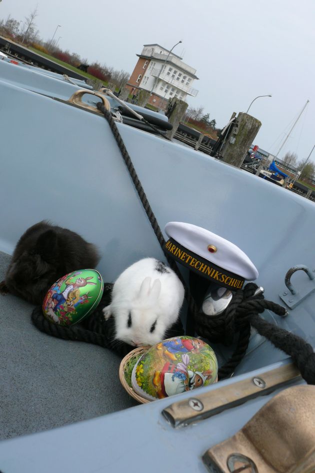 Deutsche Marine - Pressemeldung: Ostern bei der Marine - An der Marinetechnikschule sind die Hasen los