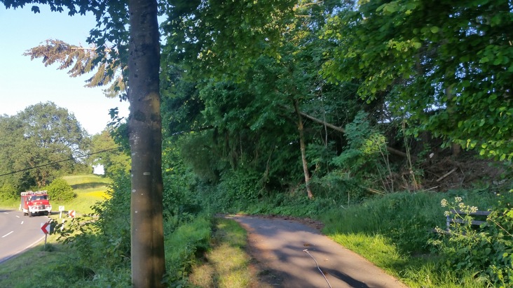 FW Lügde: Baum droht auf Fahrbahn zu fallen