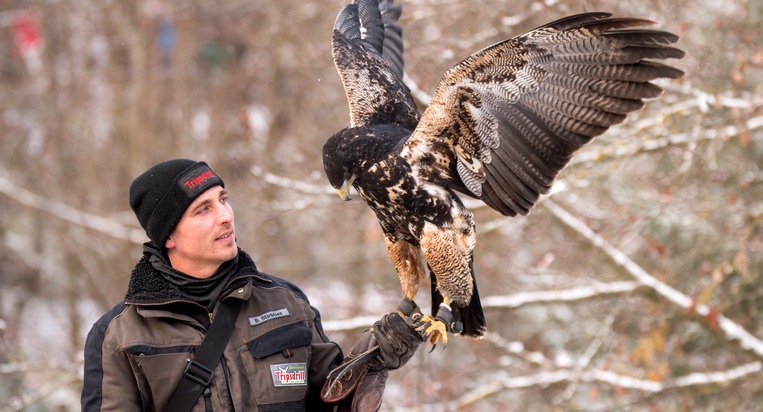 Tierisches Erlebnis &amp; au&szlig;ergew&ouml;hnliche &Uuml;bernachtungen in Tripsdrill