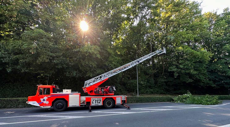 FW-EN: Brandmeldealarm im Kraftwerk - Feuerwehr rettet Mauersegler aus Ratsaal