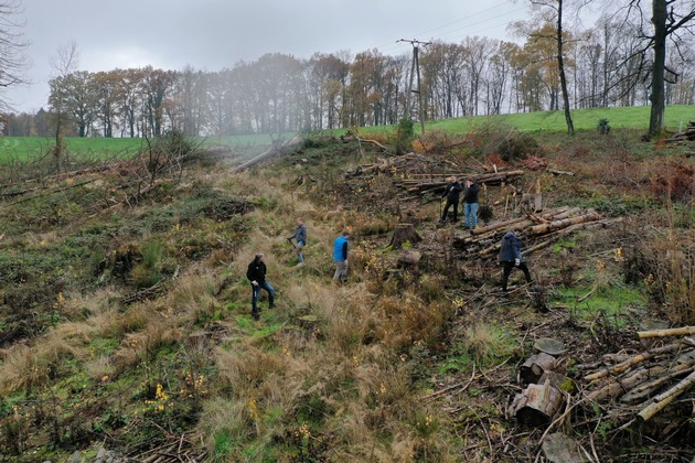 Holzgroßhändler Becher pflanzt 4050 Bäume in den Gemeinden Tholey und Lindlar