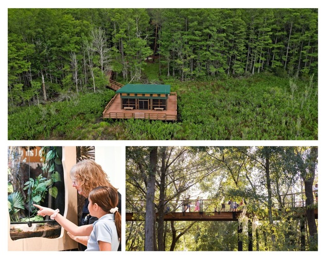 Lernen, Staunen, Erleben: Florida begeistert Familien mit inspirierenden Edutainment-Erlebnissen