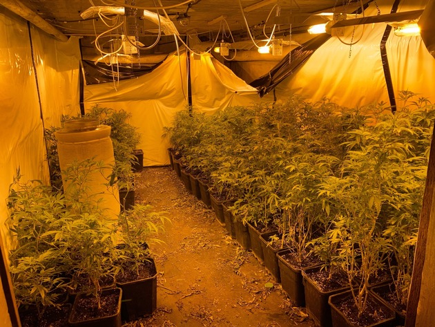 POL-BOR: Ahaus - Cannabisplantage in Wohn-/Geschäftshaus entdeckt - Tatverdächtiger festgenommen