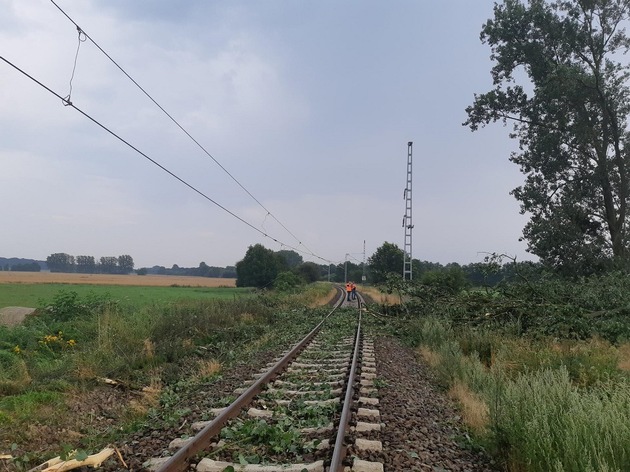 BPOL-HRO: Regionalbahn kollidiert mit Baum