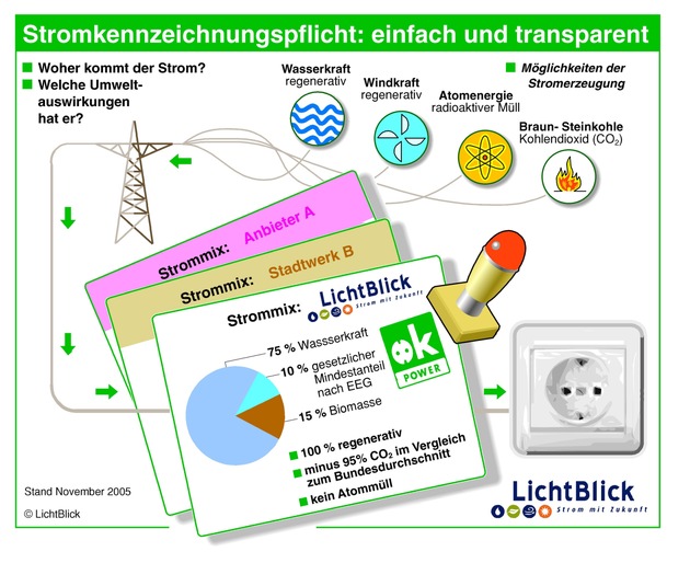 Stromkennzeichnung: LichtBlick setzt Maßstäbe bei der Umsetzung