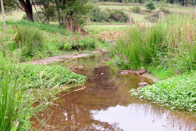 Pressemeldung Ellbach