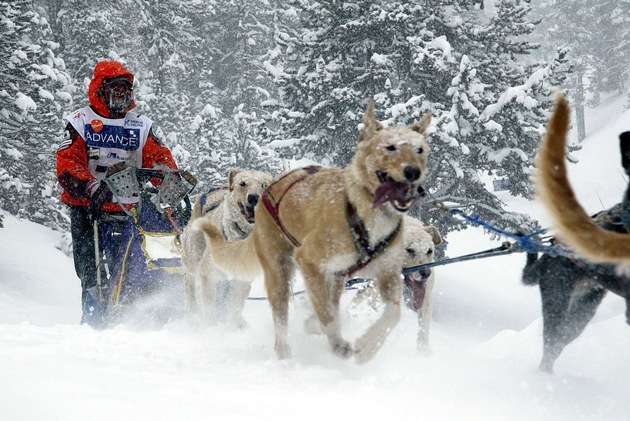 Schlittenhunderennen Pirena 2006: Spanier bricht deutsche Siegesserie